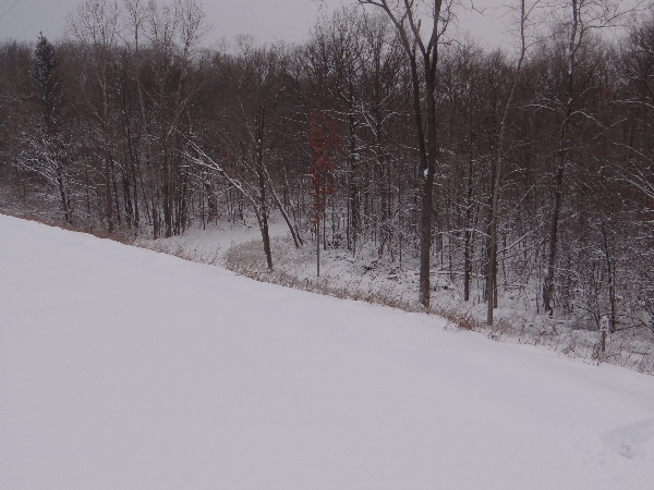 It is Winter Camp Universe Policy to not label pictures in our galleries