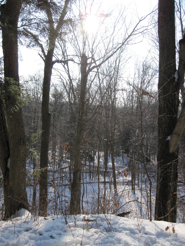 It is Winter Camp Universe Policy to not label pictures in our galleries