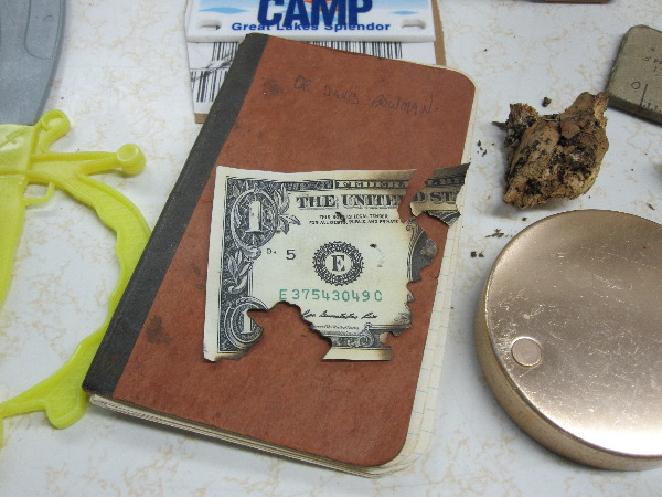 It is Winter Camp Universe Policy to not label pictures in our galleries