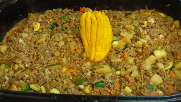 It is Winter Camp Universe Policy to not label pictures in our galleries