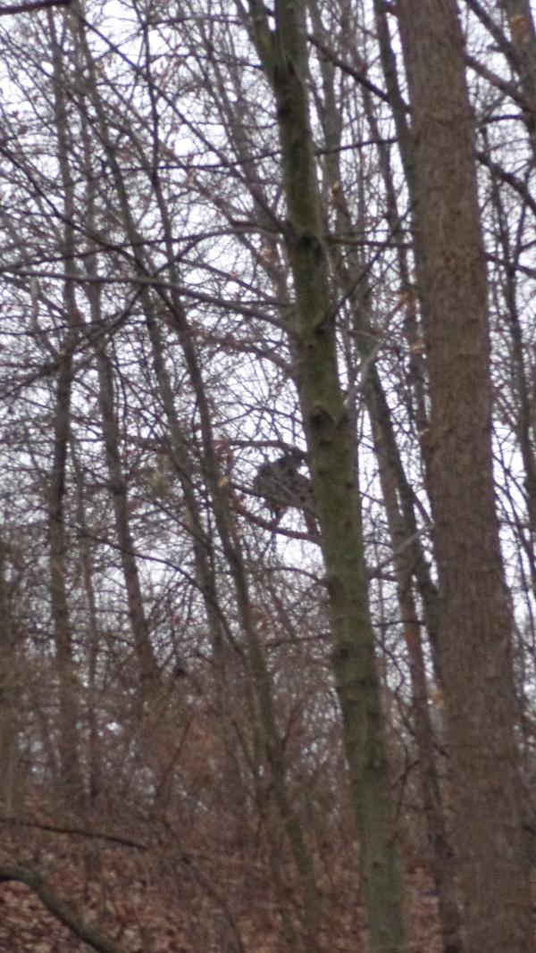 It is Winter Camp Universe Policy to not label pictures in our galleries