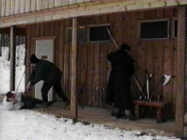 Los Angeles-style policework