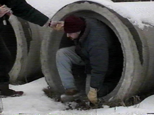 Look what crawled out of the sewer